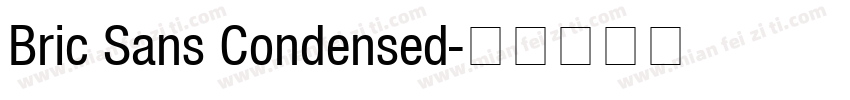 Bric Sans Condensed字体转换